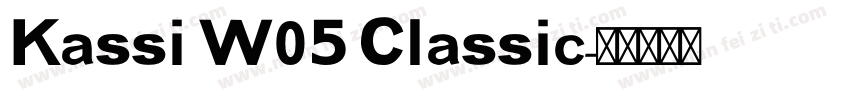 Kassi W05 Classic字体转换
